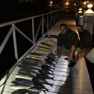 Meet your Posher, Greg